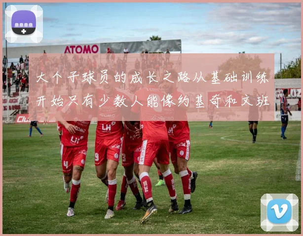 大个子球员的成长之路从基础训练开始只有少数人能像约基奇和文班那样成功