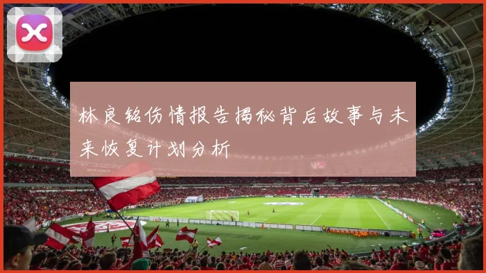 林良铭伤情报告揭秘背后故事与未来恢复计划分析