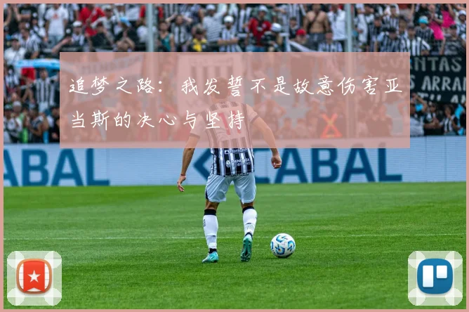 追梦之路：我发誓不是故意伤害亚当斯的决心与坚持