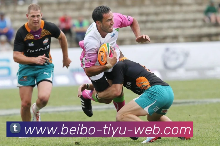 贝博体育APP 封面图